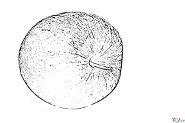 Apfel Ausmalbilder Zum Ausdrucken